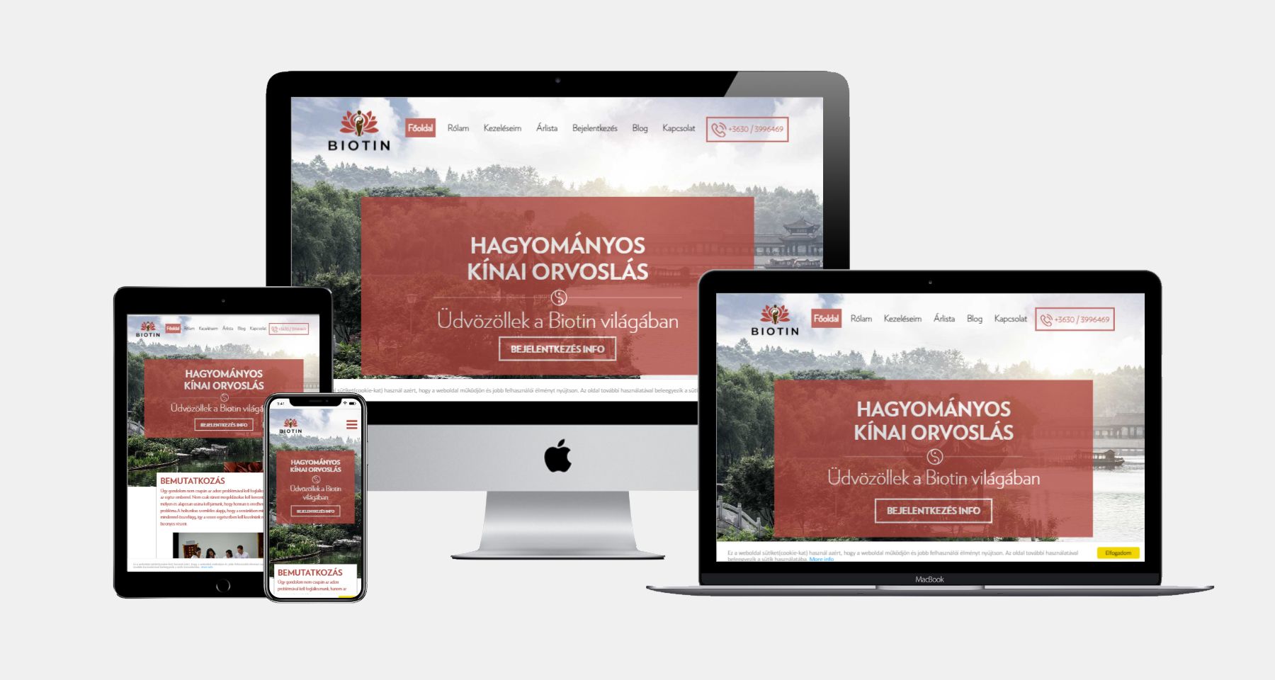 portfolio