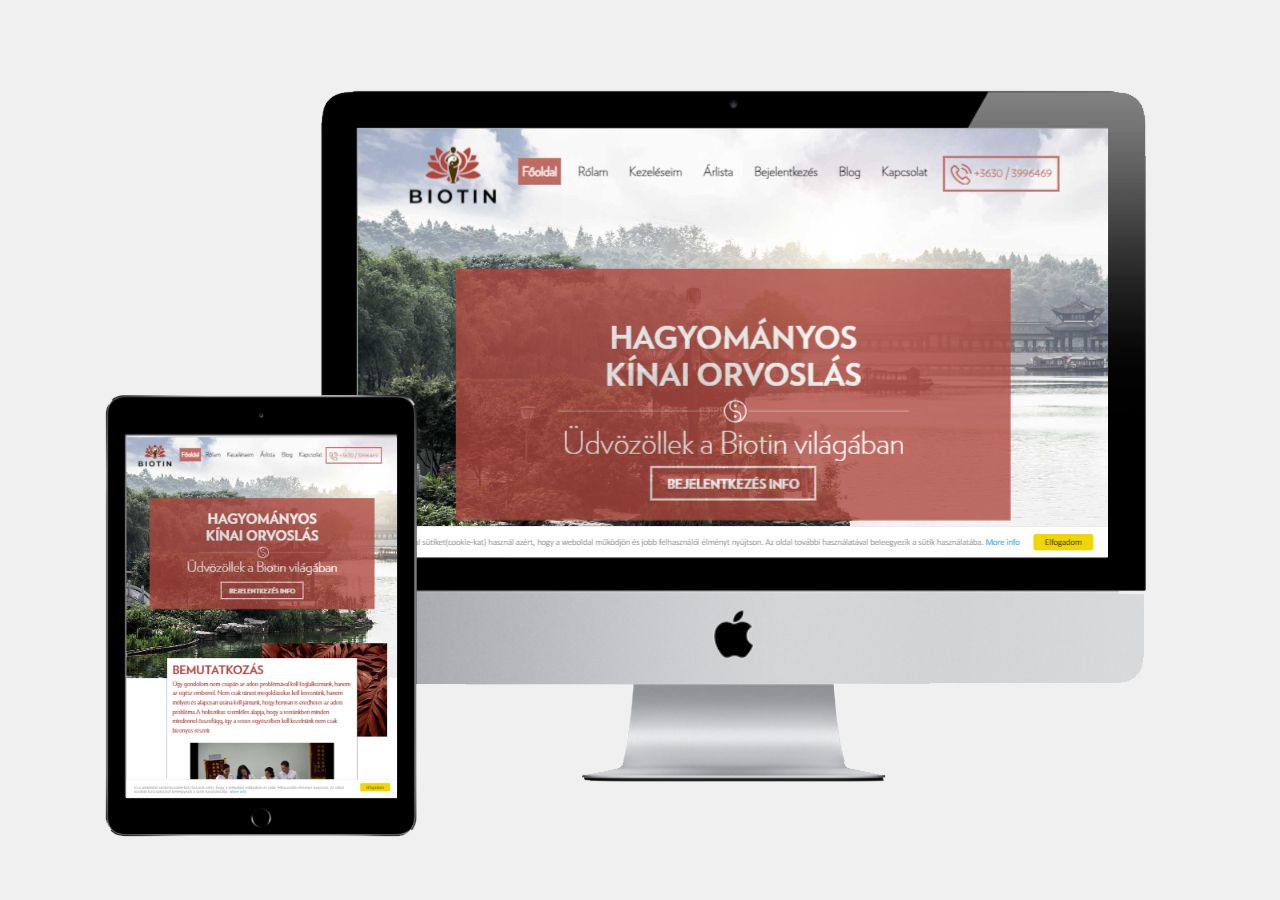 portfolio reevan